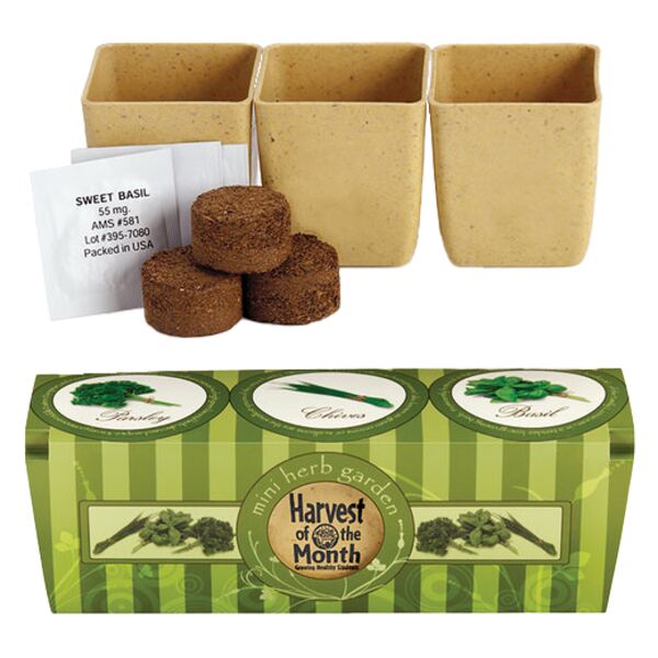 Growpot Eco-Planter Herb 3-Pack Thumbnail